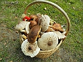 DSCN0215