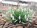 032