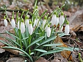 051
