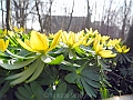 DSCN0009