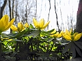 DSCN0014