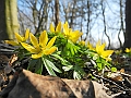 DSCN0019