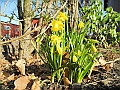 DSCN0023