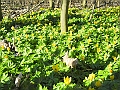 DSCN0045