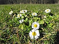 DSCN0047
