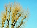 DSCN0055