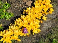DSCN0076