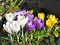 DSCN0095