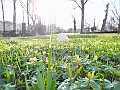 DSCN0106