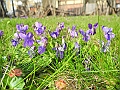 DSCN0226