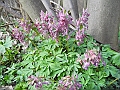 DSCN0235
