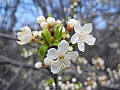 DSCN0239