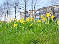 DSCN0244