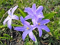 DSCN0291