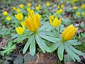 DSCN9867