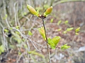 DSCN9910