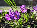 DSCN9940