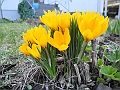 DSCN9941