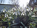 DSCN9948