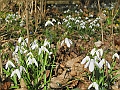 DSCN9952