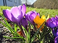 DSCN9984