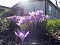 DSCN9989